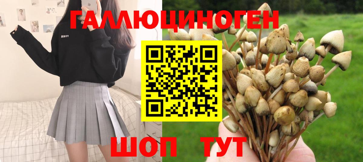 Псилоцибиновые грибы MAGIC MUSHROOMS  Вход с VPN  купить закладку  Владимир 